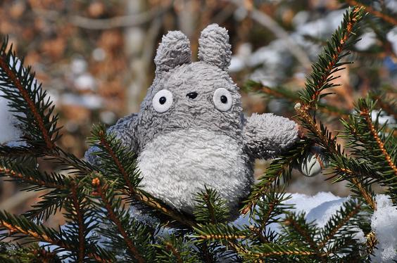 Totoro