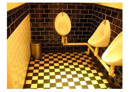 Toilet_at_night