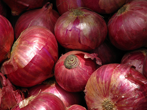 Onion